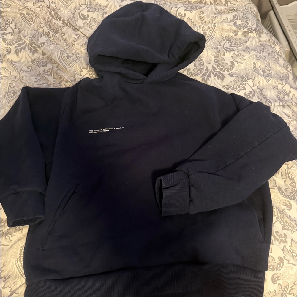 Pangaia hoodie